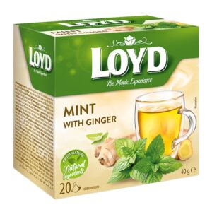 Loyd Mint and Ginger Tea 20 Units/Pack