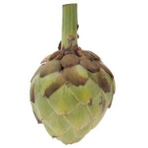 Artichoke, Lb