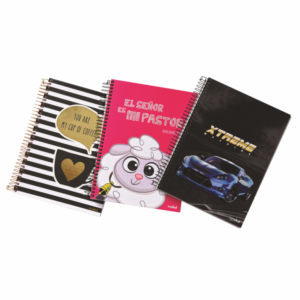 Credeal Catedra T/D Joy C/Stic 10mat Gde. Notebook.