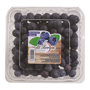 BLUEBERRIES PACK 6 OZ